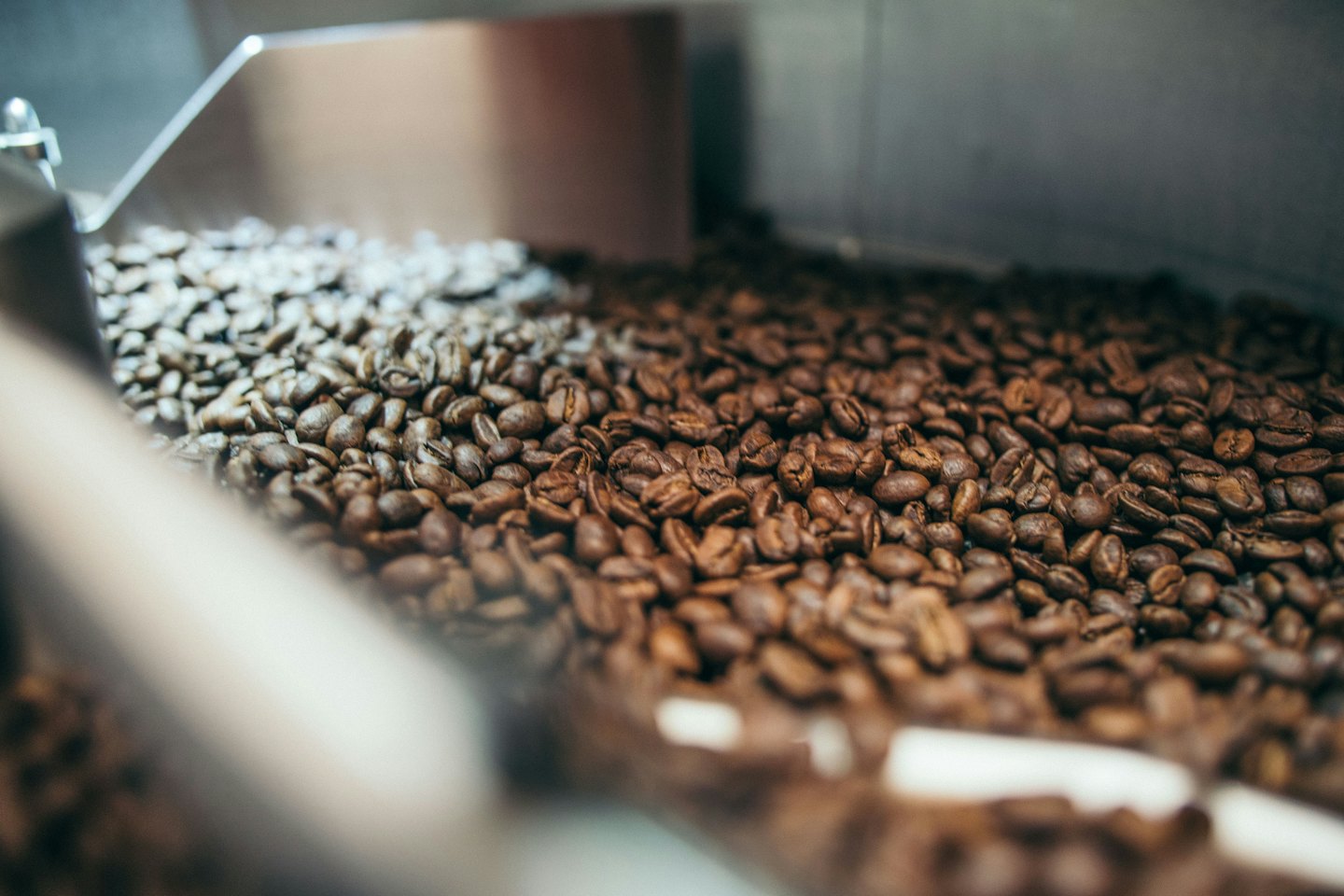 Frisch geröstete Kaffeebohnen purzeln in einer Metallmaschine.